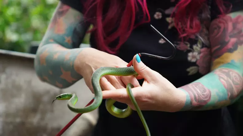805_snakesinthecity_015