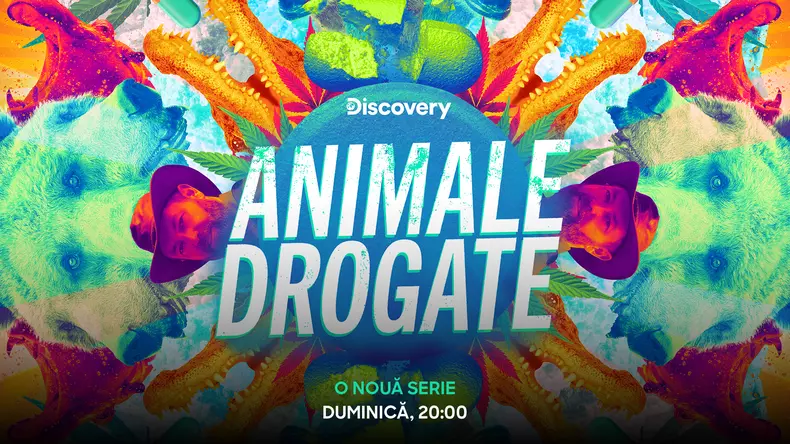 animale dragoste-noutati