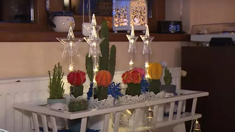 Minodora casa pentru Crăciun