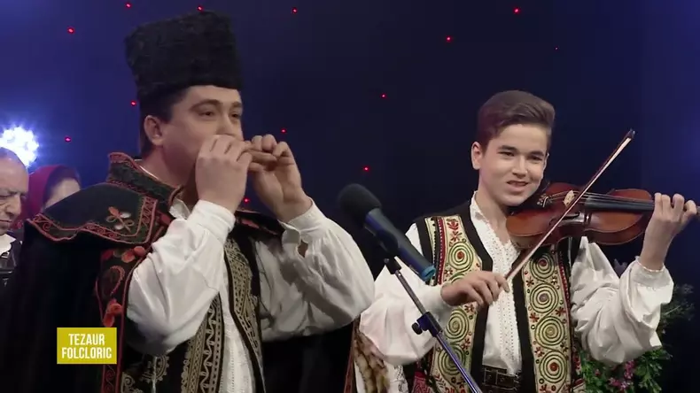 tudor si gelu voicu