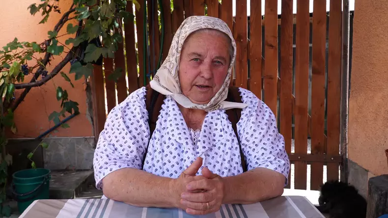 lenuta-moldovan