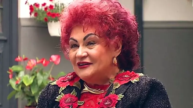 elena merisoreanu artista