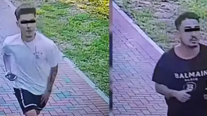 accident-parc-pantelimon-sofer