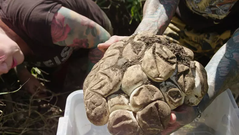 Premierele-lunii-martie-la-National-Geographic-Wild-1