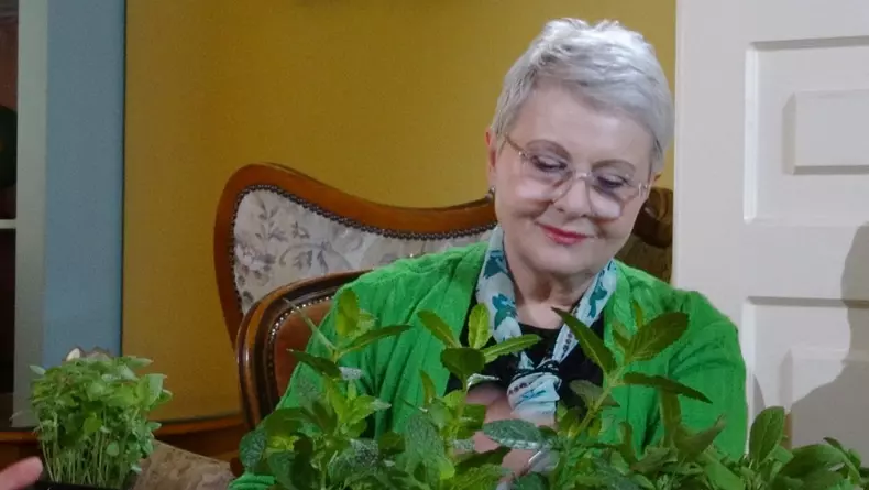 Dana Deac se retrage din jurnalism   (4)