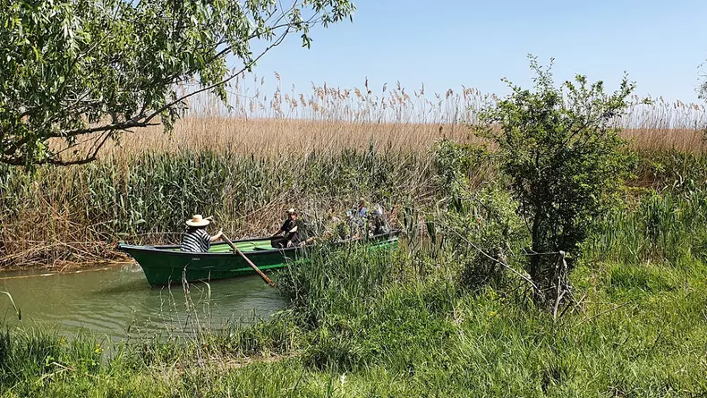 Maria Popovici in Sulina