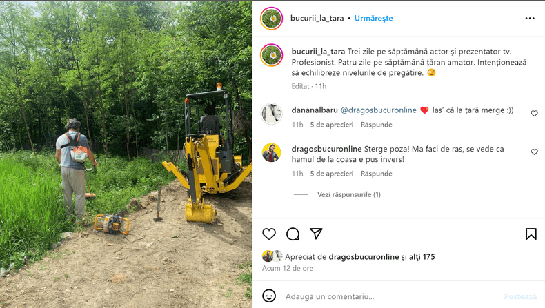 Dana Nalbaru, postare pe Instagram