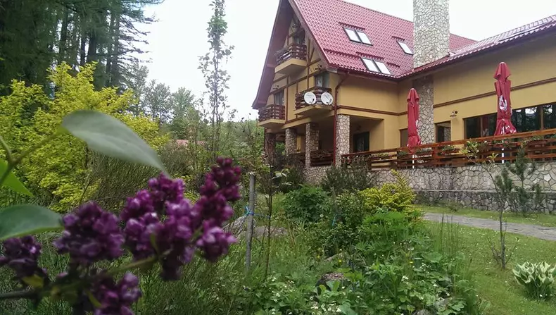 Probleme financiare pentru Gainusa