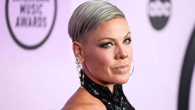 Pink, dezvăluiri fără perdea despre Madonna și primii ani în showbiz