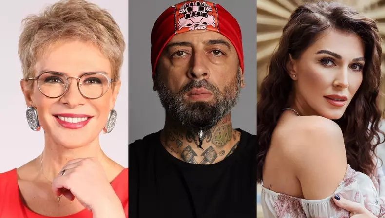 ilinca vandici discutii