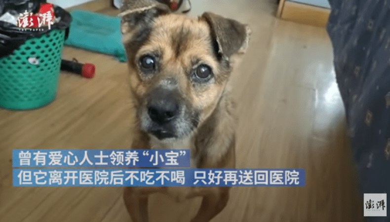 media-159051303027191300