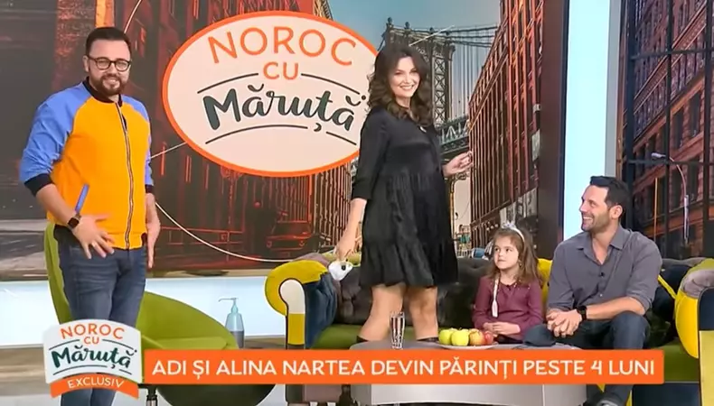 Alina gravida