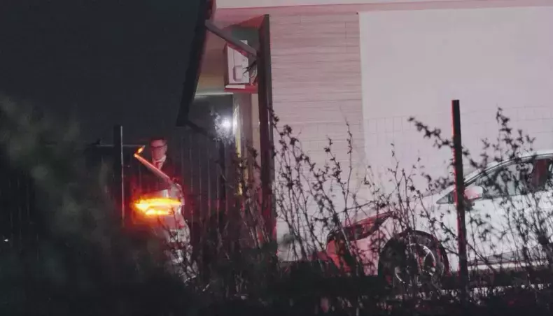 imagini publicate elena lasconi2