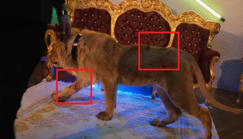 aD0yOGVjNDk1N2M1ZWY2MjRlODQ2OGRiOTZjOTJkYmY2Mg==.thumb