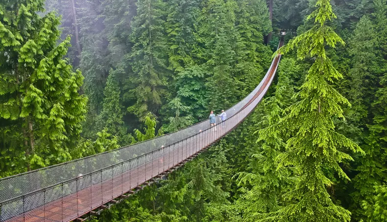 Podul Capilano, Canada