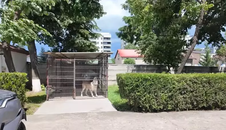 imagini casă Nuțu Cămătaru (36)