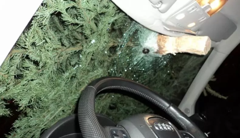 bradparbriz1-1516868751_09434300