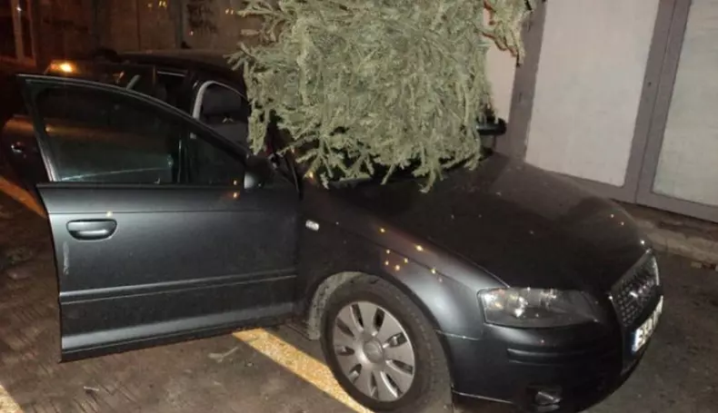 bradparbriz2-1516868773_42444000