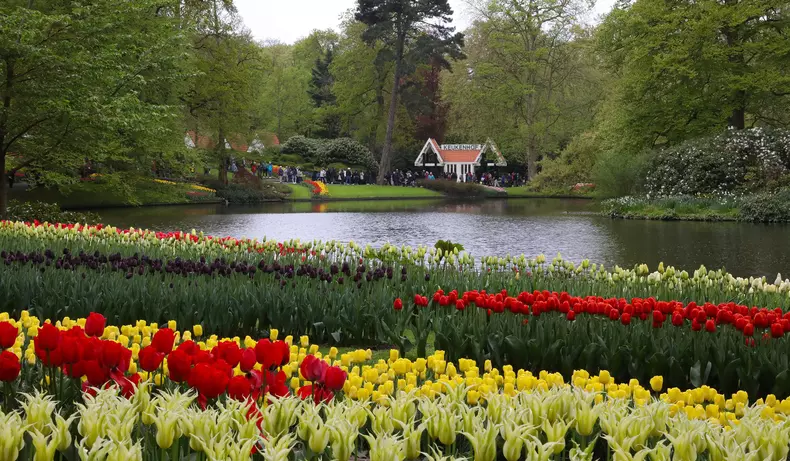 keukenhof