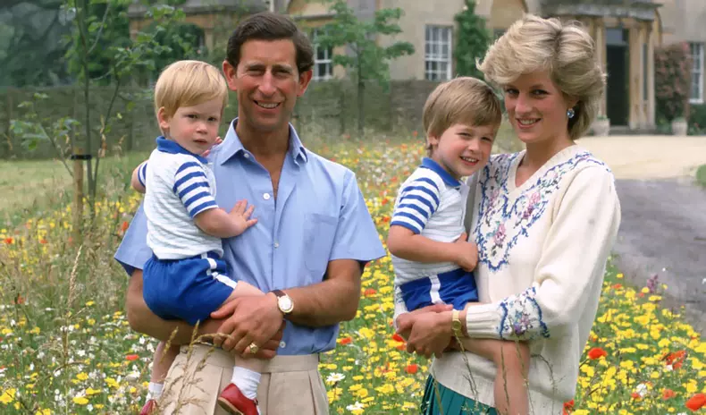 william si harry in copilarie