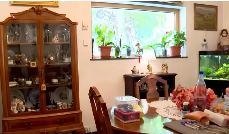 cum-arata-casa-monicai-tatoiu-imagini-18