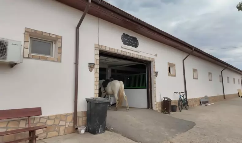 imagini casă Nuțu Cămătaru (33)