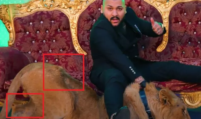 aD05NGIyYTAxNWZkZDRhNDhiNzkzMWYxZmRiYTc5MWQxNw==.thumb