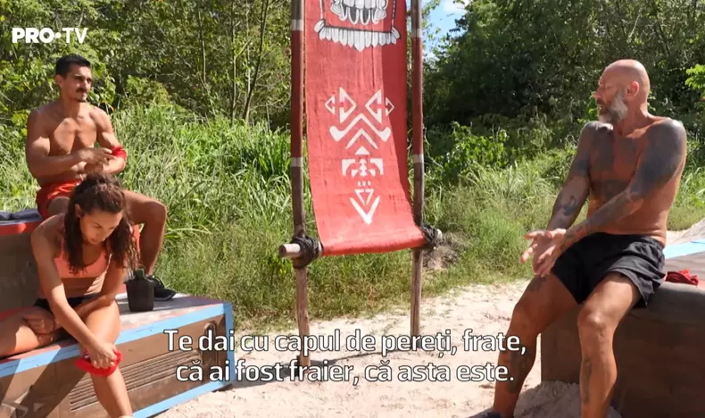 scandal-dragulescu-zmarandescu