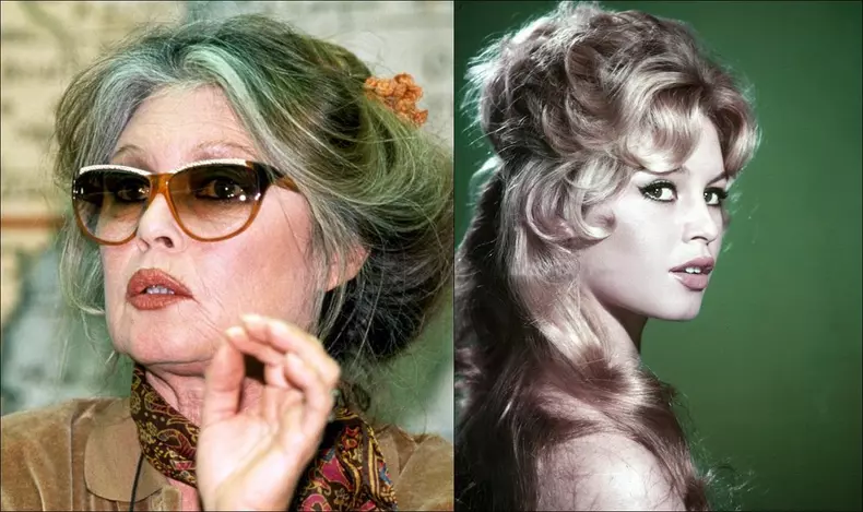 brigitte bardot colaj