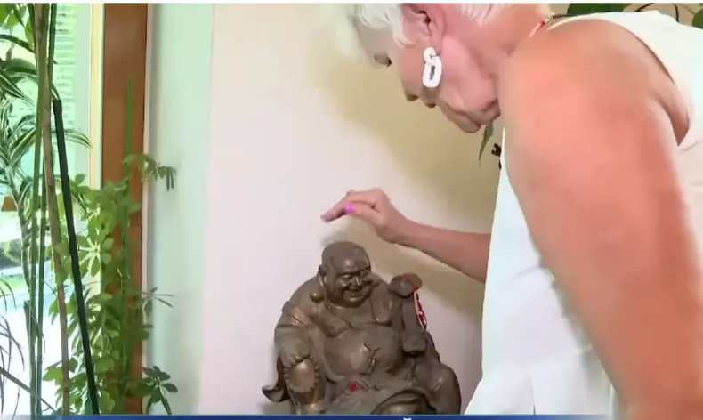 cum-arata-casa-monicai-tatoiu-imagini-16
