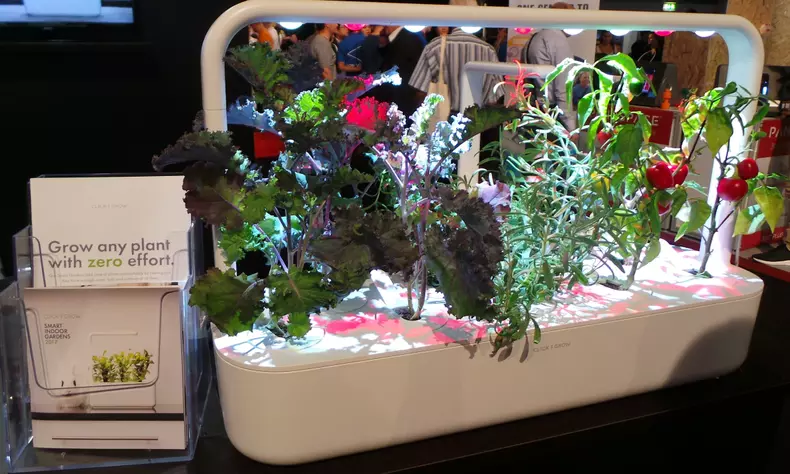 gradina indoor Click and Grow