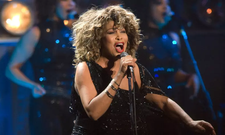tina turner artista