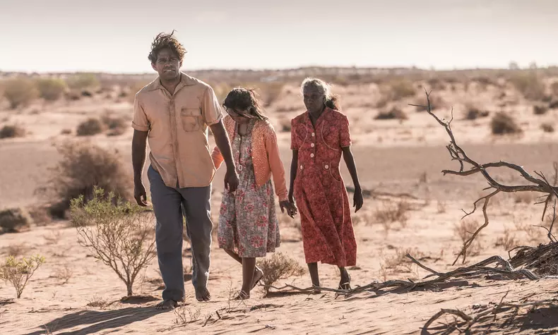 Operațiunea Buffalo