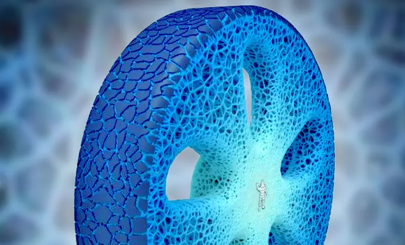 MICHELIN Visionary Concept 01