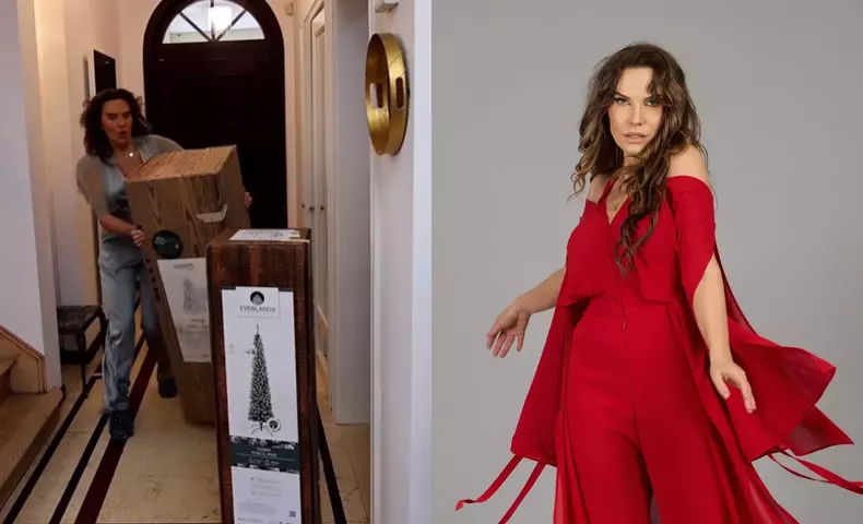 anna-lesko-sufragerie-de-craciun