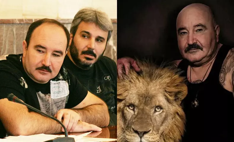 colaj fratii camataru