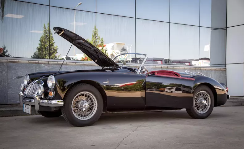 Interviu Stefano Albarosa Cefin Trucks 024