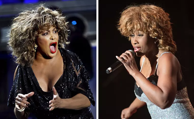 Tina Turner wins court case to have poster banned in Germany