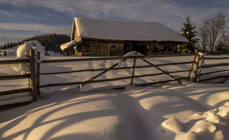 Wild CarpathiaDSC03993