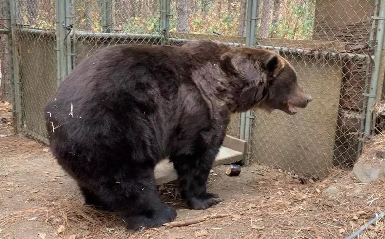 O rezervație naturală pentru animale sălbatice îți propune să te răzbuni pe foștii iubiți într-o manieră inedită (5)