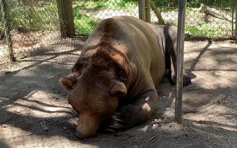 O rezervație naturală pentru animale sălbatice îți propune să te răzbuni pe foștii iubiți într-o manieră inedită (4)