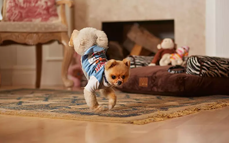 jiff