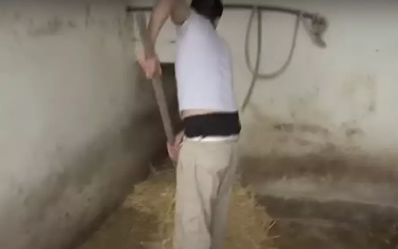 David Puscas la ferma 7