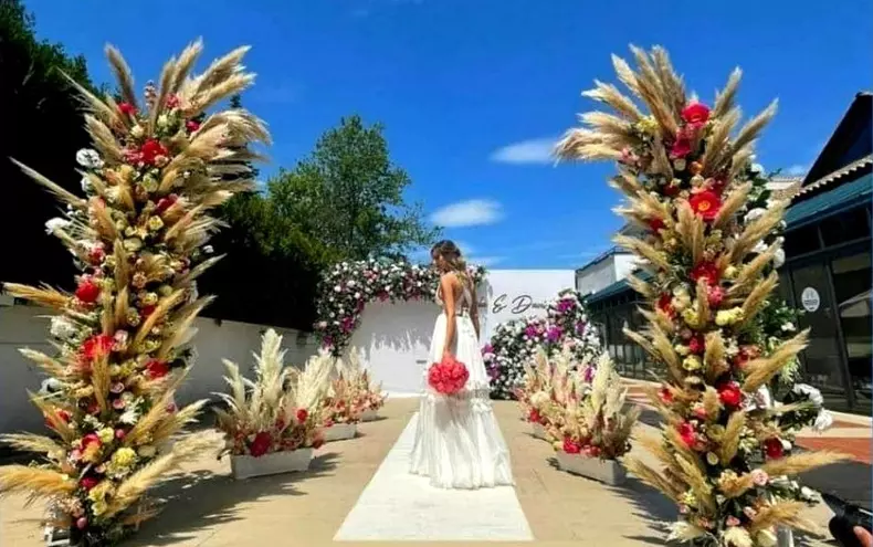 nunta dani otil si gabriela prisacariu (2)