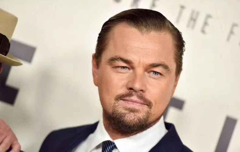 Alina-Puscau-Leonardo-DiCaprio-9