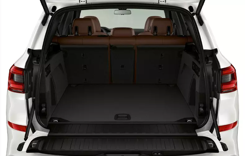 BMW X5 xDrive45e 7