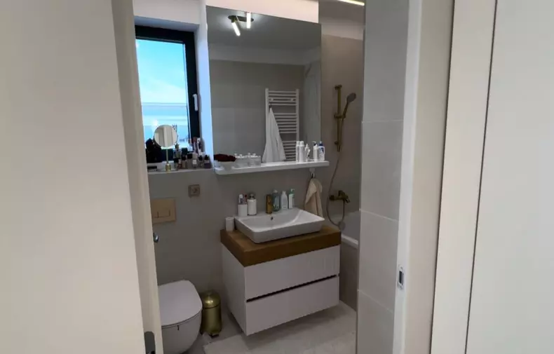 Andreea Bostănică - imagini apartament București (4)
