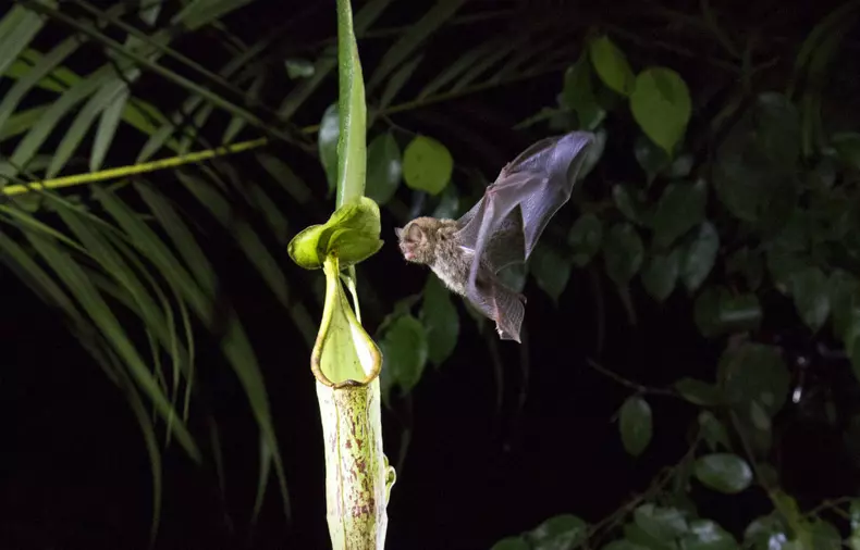 OURPLANET_LJ_BENMACDONALD