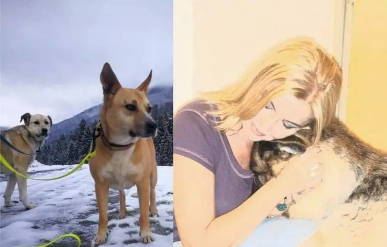 cover-cainii-cristinei-topescu