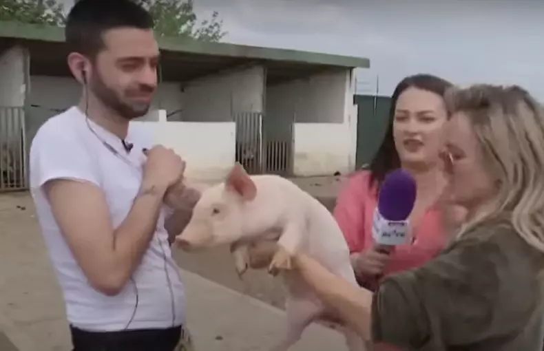 David Puscas la ferma 2